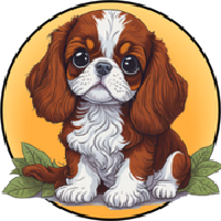 Cavalier King